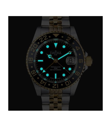 Ternos Ceramic GMT Bicolour