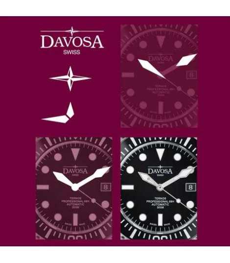 Ternos Professional 68H Automatic