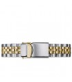 Ternos Ceramic : bracelet acier Bicolore Pentalink 20mm