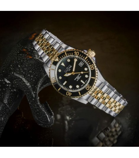 Ternos Diver NL : NOUVELLE GENERATION