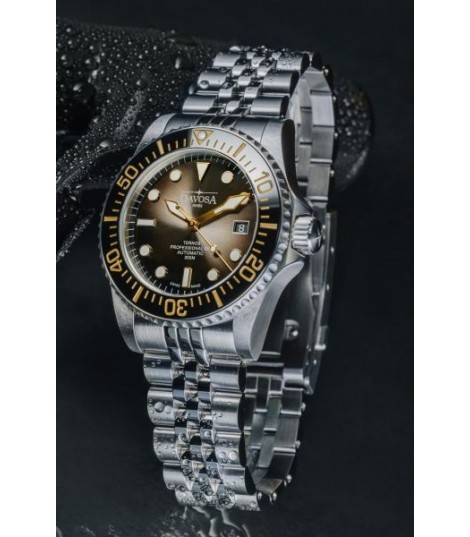 Ternos Professional 68H Automatic Eagle Bay : disponible en pré-commande